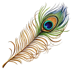 Featured Mor Pankh PNG peacock feather
