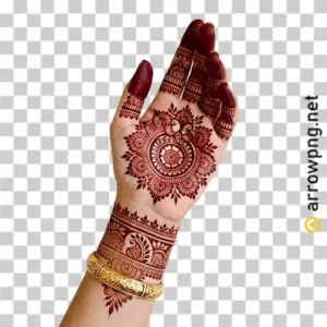 Beautiful Mehndi Art henna design on hand